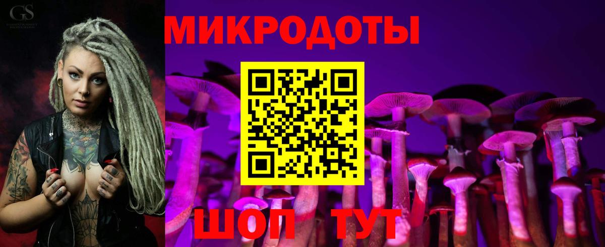 Псилоцибиновые грибы Psilocybine cubensis  Вход с VPN  Среднеуральск 